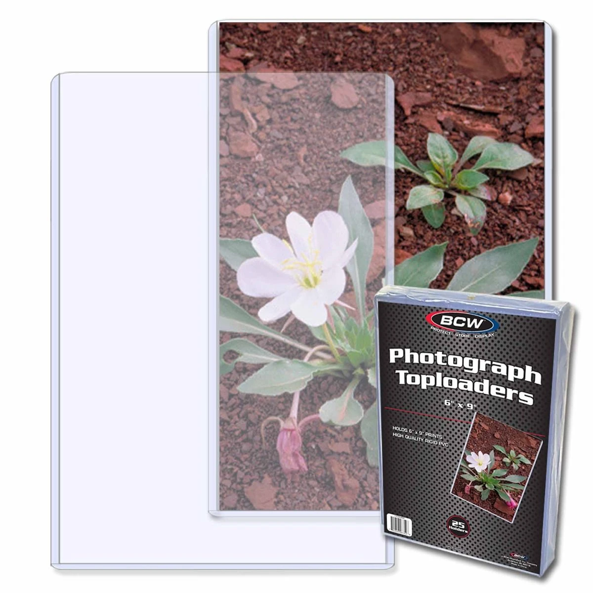 BCW 6"x9" Photograph Toploader (25ct) 1 BCW 6"x9" Photograph Toploader (25ct)