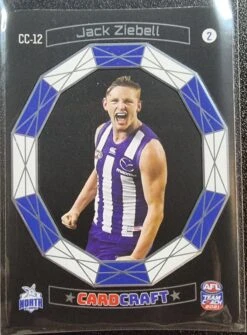 2021 TeamCoach Card Craft Singles - PICK YOUR CARD -Card Game Store 20221012 144638 scaled